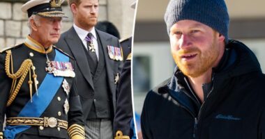Prince Harry may have to renounce his royal title to become US citizen