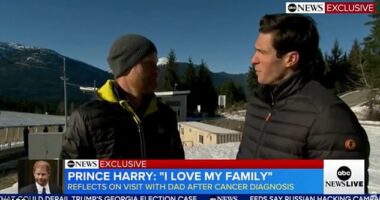 Prince Harry speaks to ABC's Good Morning America presenter Will Reeve in Canada this week