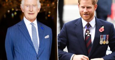 Prince Harry would be willing to return to his royal duties — if King Charles asked him to