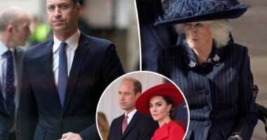 Prince William bails on royal event for 'personal reasons'