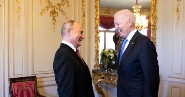 Putin: Biden Better for Russia Than Trump, 'More Predictable'