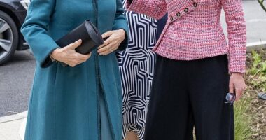 Pictured: Dame Laura Lee (right) greeted Queen Camilla as she arrived for the opening of Maggie's new cancer centre in North West London last week