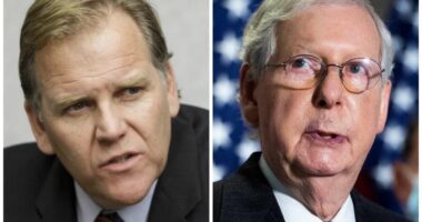 RINO ALERT: Michigan U.S. Senate Candidate Mike Rogers Receives Endorsement From Mitch McConnell Strategist