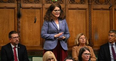 It is now widely believed in Westminster that Dame Diana Johnson¿s (pictured) amendment could be passed next month in a historic vote, which all MPs will be allowed to decide on according to conscience, after outrage last year over a case where a mother was jailed for an illegal termination