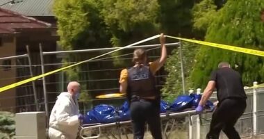 The body of a woman was found at the Somerset Avenue home by police just before 8am on Thursday