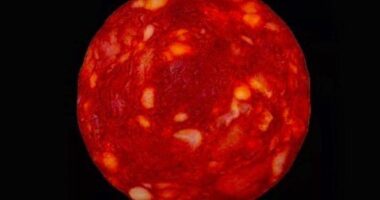Remember This? NASA Duped By A Piece Of Chorizo!