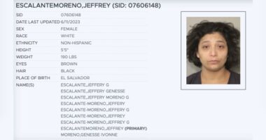 Reports Suggest Houston Church Shooter is Pro-'Palestine', Transgender Migrant.