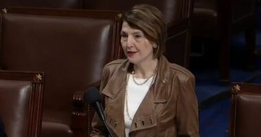 Republican Committee Chair Will Not Seek Reelection