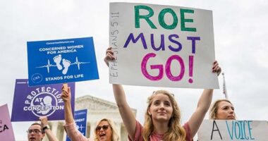Republicans Renew Call to Repeal FACE Act as More Pro-Life Activists Face Prison Time