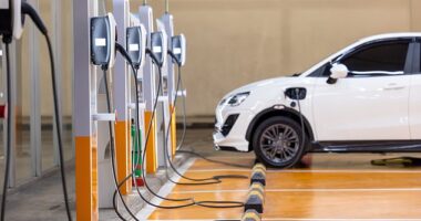 The EPA's proposed rule would require many Americans to buy EVs within this decade