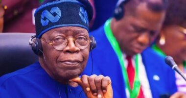 Resign now if Nigeria?s problems overwhelm you - PDP governors tell Tinubu govt