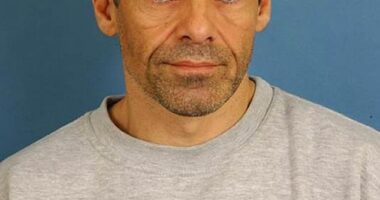 The vicious killing shocked the nation on Halloween night 2010 when Robert Brown (pictured) fatally beat his estranged wife Joanna Simpson, 46, with a claw hammer, while their terrified children cowered in a playroom nearby. Joanna endured years of domestic abuse at his hands