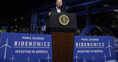 Rich Lowry: 'Democrats Are Taking an Insane Risk With Joe Biden'