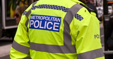 Forces across England and Wales will receive £66million to put 'bobbies on the beat' for hundreds of thousands of extra hours over the next year