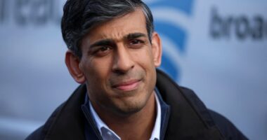 Rishi Sunak says Lee Anderson Islamist comments were wrong but denies Conservative party has ‘Islamophobic tendencies’