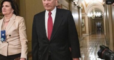 Roberts and Alito Not Buying the Insurrection Argument in SCOTUS Oral Arguments