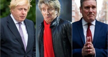Rod Stewart blasts ‘lying public schoolboy’ Boris Johnson and says Labour should win next election