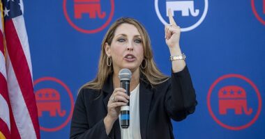 Republican National Committee Chairwoman Ronna Romney McDaniel told former President Donald Trump she'll resign at the end of the month after facing multiple calls to step down