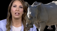Ronna “Romney” McDaniel, RNC EXPOSED For Wasting MILLIONS of Dollars!