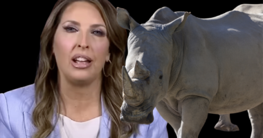 Ronna “Romney” McDaniel, RNC EXPOSED For Wasting MILLIONS of Dollars!