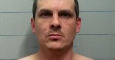 Pardoned rapist Nikolai Nechaev, 38, detained again in Russia on suspicion of sexually assaulting a 14-year-old schoolgirl - only three months after he came out of the army