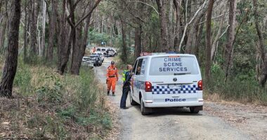 Victoria Police closed down a walking track (above) in the nearby state forest and kicked out media after finding an item of interest and declaring a crime scene