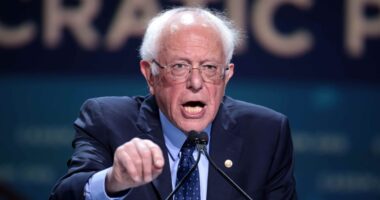 Sanders Group Tells 312K Dems Not to Commit to Biden as Nominee.