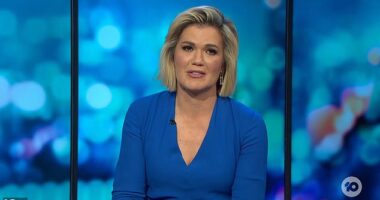 The Project host Sarah Harris broke down in tears while paying tribute to late Studio 10 presenter Jesse Baird