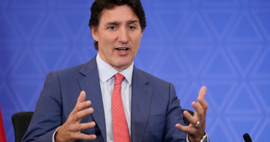 Say WHAT? Justin Trudeau Sends Millions to Ukraine for 'Gender Inclusive' Mine Removal
