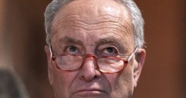 Schumer to Jam Senate with Immigration Deal Still Hidden from Public
