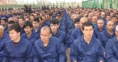 Science Journal Pulls Unethical Genetic Research Conducted On Minorities In China.