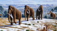 Scientists Resurrecting The Woolly Mammoth Are Crazy, Not 'Cool'