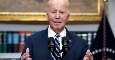 President Biden brutally mocked the House for skipping town for two weeks without doing anything to advance a foreign aid package