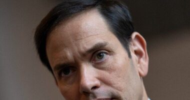 Sen. Marco Rubio: 'The Border Deal Is an Easy NO'