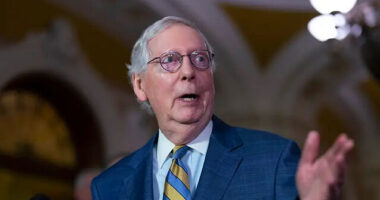 Sen. Mitch McConnell Defends Migration Bill Fiasco