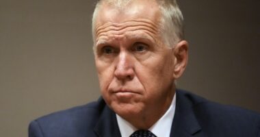 Sen. Thom Tillis Says Voters Can't Possibly Know What's at Stake If We Don't Fund Ukraine