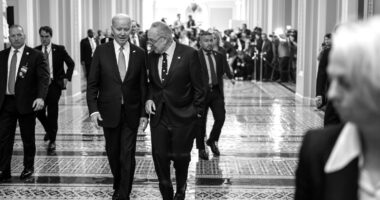 Senate Border Bill Is Nothing But A Democrat Propaganda Op