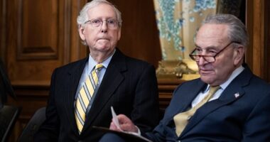 Sen. Josh Hawley , R-Mo., blamed Mitch McConnell for the dysfunction as other Republicans floated ousting the longtime leader.