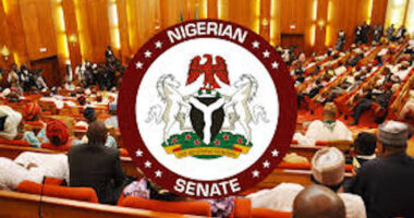 Senate unveils 45-member committee for constitution review