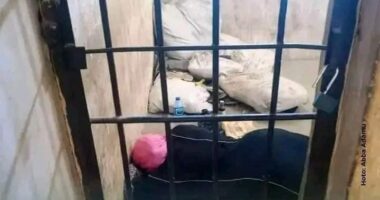 Sharia court remands controversial Kano TikToker, Murja Kunya over alleged immorality