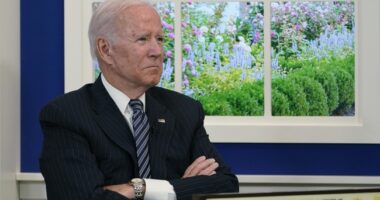 Shock Poll Reveals Voters Have Doubts Both Biden and Trump Will Last Till Election Day – RedState