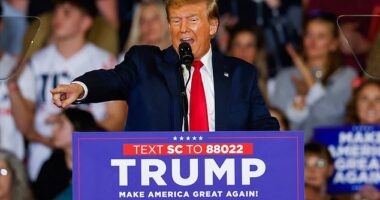 Donald Trump has claimed he would encourage Russia to attack NATO members that don't pay their share of the alliance's budget