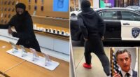 This is the crazy moment a bold thief casually rips a whole display of iPhones off the shelves of an Oakland Apple store amid California Governor Gavin Newsom 's newest efforts to crack down on crime in the area. Shoppers at the Apple Store on Bay Street in Oakland, California , stood idly by and watched as a masked male pulled 49 iPhones off their security chords and shoved them in his pants.