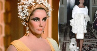 Slovenly Elizabeth Taylor caught Malta Fever from her dogs: book