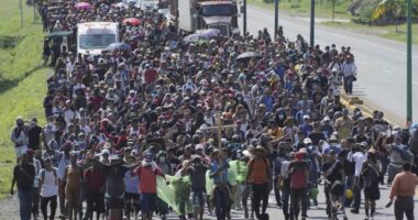 Some Blue State Libs Put Their Money Where Their Mouths Are on Housing 'Refugees.' But Is It Safe? – RedState
