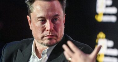 Some board members felt pressured to take drugs with Elon Musk, WSJ reports