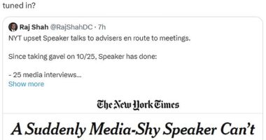 Speaker Mike Johnson's aides tear into the New York Times for report claiming he fakes phone calls so he can avoid taking questions from the press