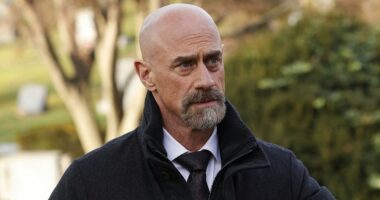 Stabler Profiles a Serial Killer in Law & Order: Organized Crime Clip