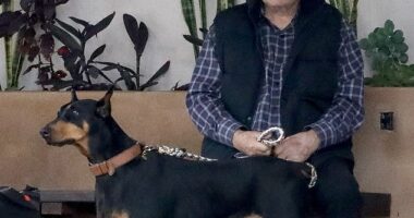 William Shatner appeared nervous and downcast while taking his two dogs to the vet in Los Angeles last week
