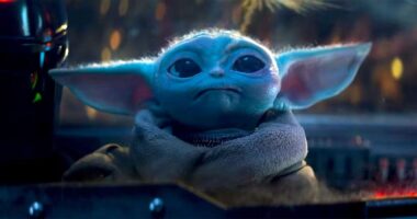 Star Wars Fan Theories About Grogu's Parents Are Likely Right